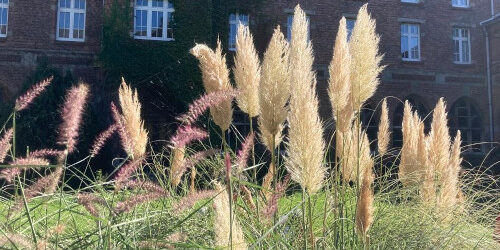 Formation Merville 2023 Bien chnater tout au long de la vie