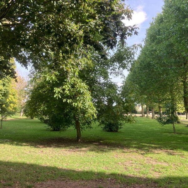 Merville 2023 formation du choriste bien chanter tout au long de la vie